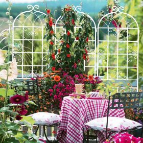 4 Pack Metal Garden Trellis 86.7x19.7 Rustproof For Climbing Plants Outdoor